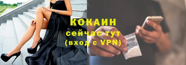 стаф Алексин
