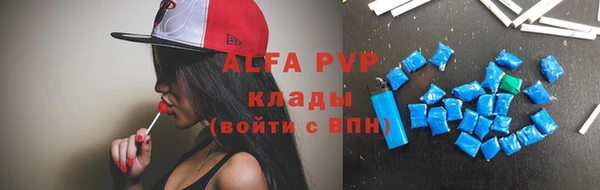стаф Алексин