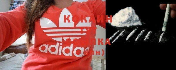 бутират Гусь-Хрустальный
