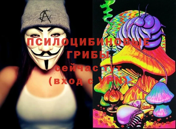стаф Алексин