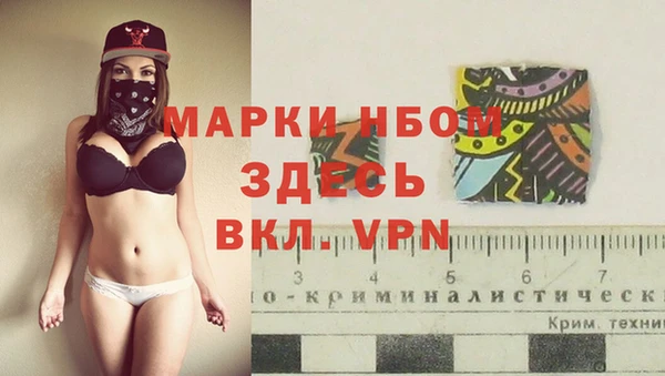 стаф Алексин