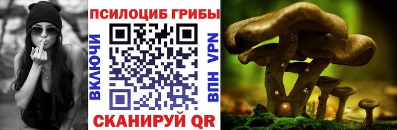 blacksprut зеркало  Данилов  Псилоцибиновые грибы прущие грибы 